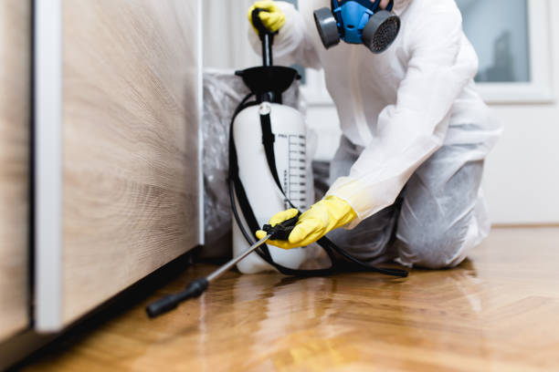Best Emergency Pest Control  in Three Lakes, FL