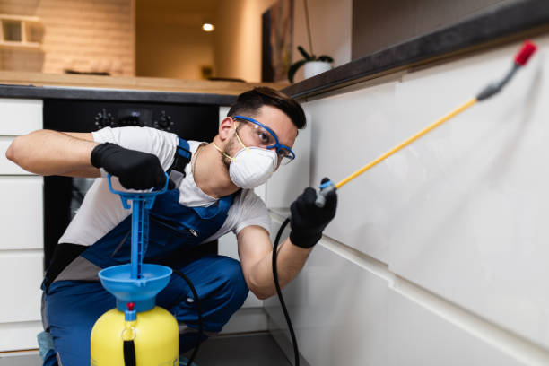 Best Local Pest Control Services  in Three Lakes, FL