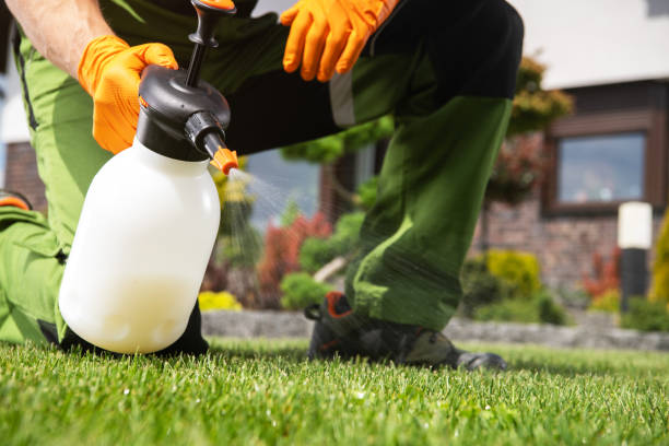 Best Affordable Pest Control Services  in Three Lakes, FL