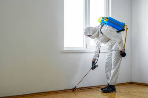 Best Ant Control Services  in Three Lakes, FL