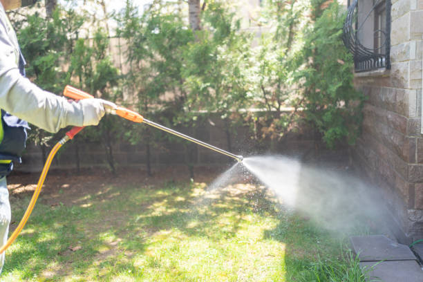 Professional Pest Control in Three Lakes, FL