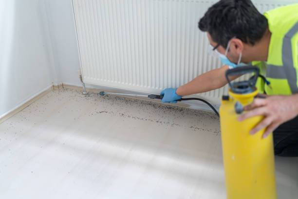 Best Exterminator Services  in Three Lakes, FL