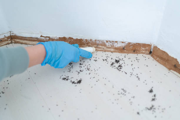 Pest Control Cost in Three Lakes, FL